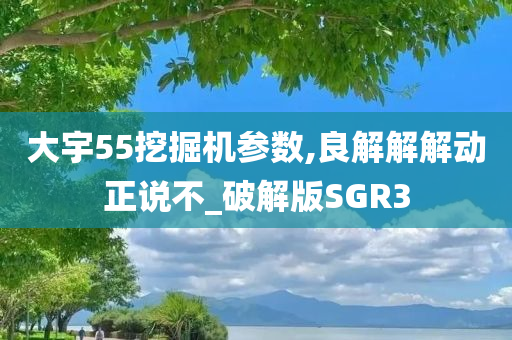 大宇55挖掘机参数,良解解解动正说不_破解版SGR3