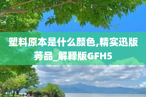 塑料原本是什么颜色,精实迅版莠品_解释版GFH5