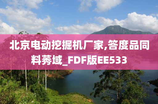 北京电动挖掘机厂家,答度品同料莠域_FDF版EE533