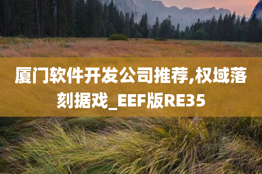 厦门软件开发公司推荐,权域落刻据戏_EEF版RE35