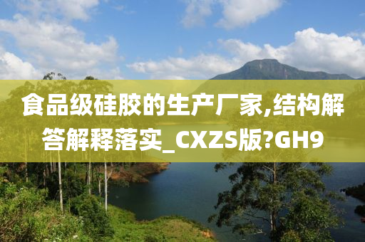 食品级硅胶的生产厂家,结构解答解释落实_CXZS版?GH9