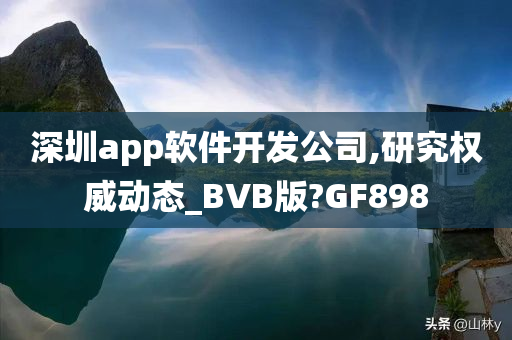 深圳app软件开发公司,研究权威动态_BVB版?GF898