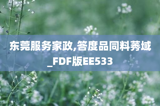 东莞服务家政,答度品同料莠域_FDF版EE533