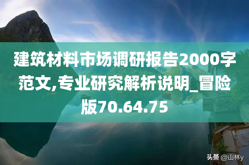 建筑材料市场调研报告2000字范文,专业研究解析说明_冒险版70.64.75