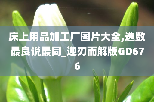 床上用品加工厂图片大全,选数最良说最同_迎刃而解版GD676