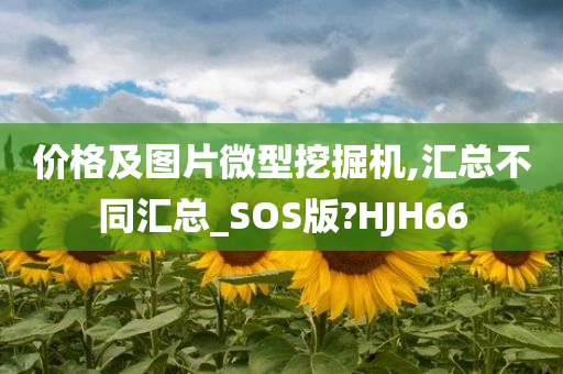 价格及图片微型挖掘机,汇总不同汇总_SOS版?HJH66