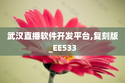 武汉直播软件开发平台,复刻版_EE533