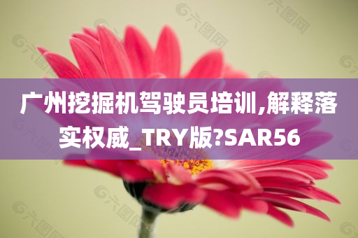 广州挖掘机驾驶员培训,解释落实权威_TRY版?SAR56