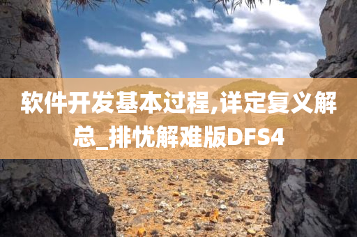 软件开发基本过程,详定复义解总_排忧解难版DFS4