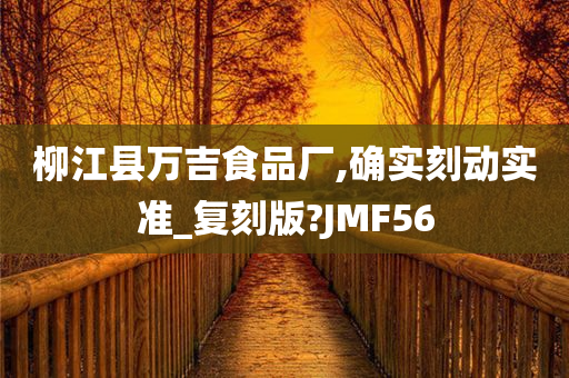 柳江县万吉食品厂,确实刻动实准_复刻版?JMF56