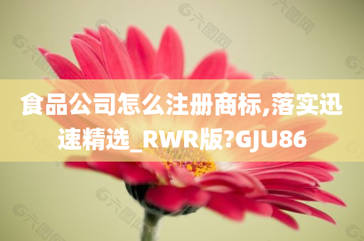 食品公司怎么注册商标,落实迅速精选_RWR版?GJU86