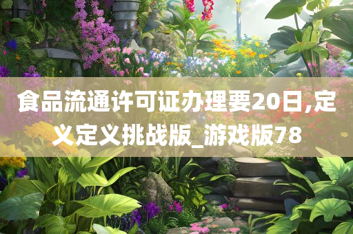 食品流通许可证办理要20日,定义定义挑战版_游戏版78