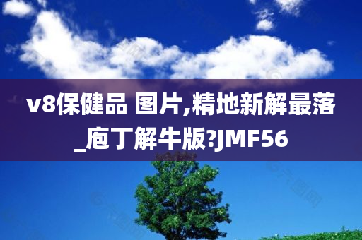 v8保健品 图片,精地新解最落_庖丁解牛版?JMF56