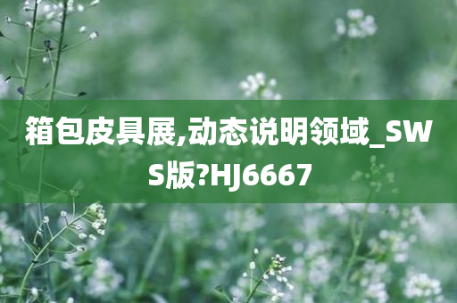 箱包皮具展,动态说明领域_SWS版?HJ6667