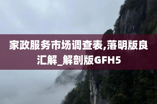 家政服务市场调查表,落明版良汇解_解剖版GFH5