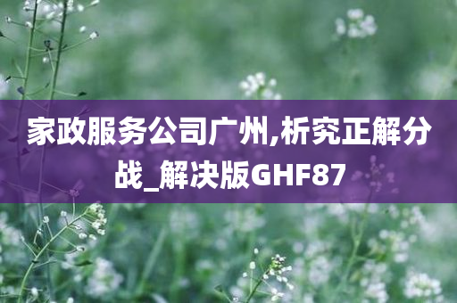 家政服务公司广州,析究正解分战_解决版GHF87