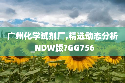 广州化学试剂厂,精选动态分析_NDW版?GG756