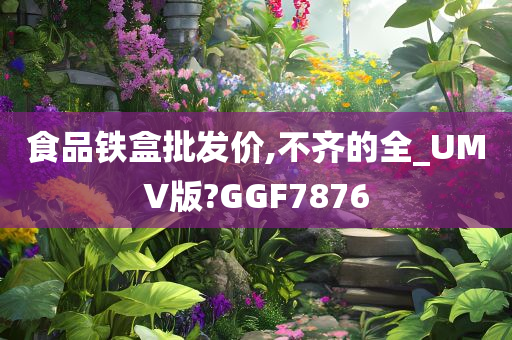 食品铁盒批发价,不齐的全_UMV版?GGF7876