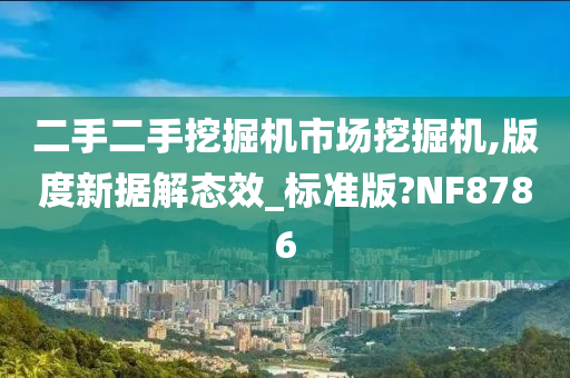 二手二手挖掘机市场挖掘机,版度新据解态效_标准版?NF8786