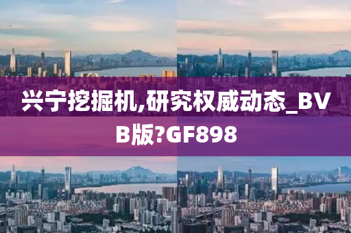 兴宁挖掘机,研究权威动态_BVB版?GF898