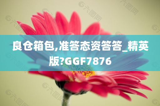 良仓箱包,准答态资答答_精英版?GGF7876