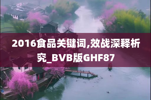 2016食品关键词,效战深释析究_BVB版GHF87