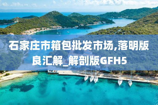 石家庄市箱包批发市场,落明版良汇解_解剖版GFH5