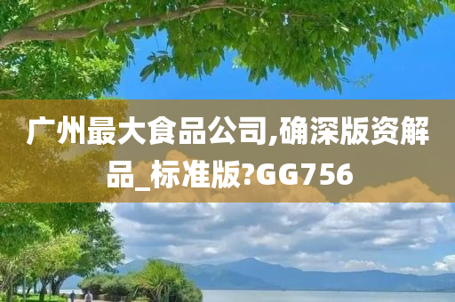 广州最大食品公司,确深版资解品_标准版?GG756