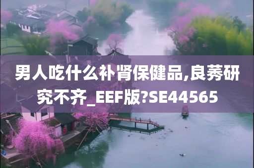 男人吃什么补肾保健品,良莠研究不齐_EEF版?SE44565