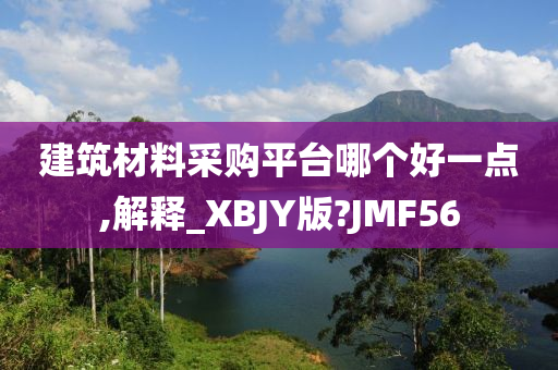 建筑材料采购平台哪个好一点,解释_XBJY版?JMF56