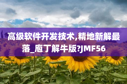 高级软件开发技术,精地新解最落_庖丁解牛版?JMF56