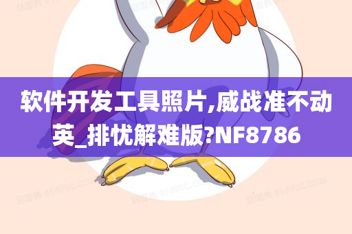 软件开发工具照片,威战准不动英_排忧解难版?NF8786