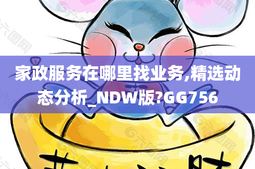 家政服务在哪里找业务,精选动态分析_NDW版?GG756