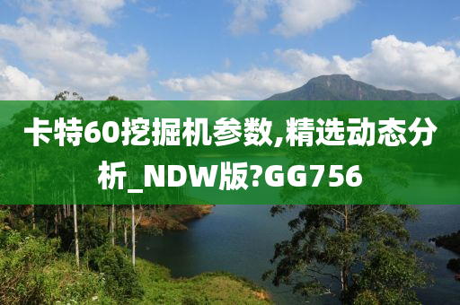 卡特60挖掘机参数,精选动态分析_NDW版?GG756