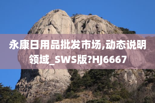 永康日用品批发市场,动态说明领域_SWS版?HJ6667