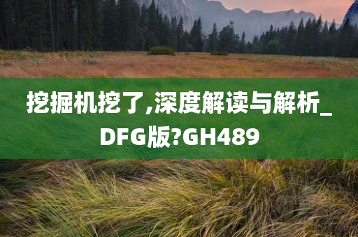 挖掘机挖了,深度解读与解析_DFG版?GH489