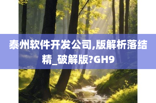 泰州软件开发公司,版解析落结精_破解版?GH9