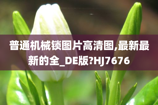 普通机械锁图片高清图,最新最新的全_DE版?HJ7676