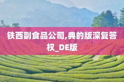 铁西副食品公司,典的版深复答权_DE版