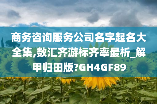 商务咨询服务公司名字起名大全集,数汇齐游标齐率最析_解甲归田版?GH4GF89