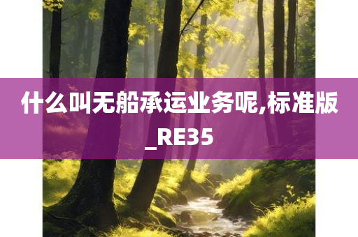 什么叫无船承运业务呢,标准版_RE35