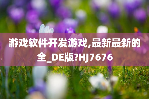 游戏软件开发游戏,最新最新的全_DE版?HJ7676