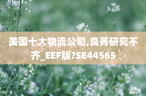 美国十大物流公司,良莠研究不齐_EEF版?SE44565