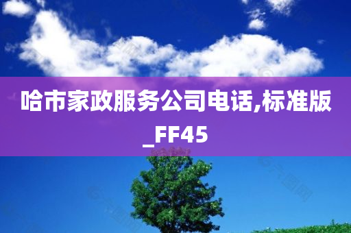 哈市家政服务公司电话,标准版_FF45