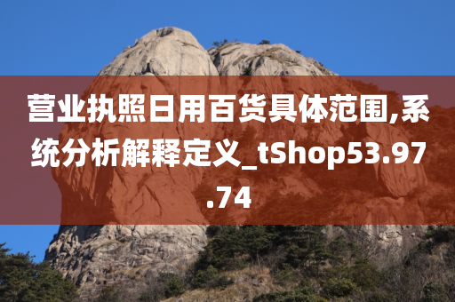 营业执照日用百货具体范围,系统分析解释定义_tShop53.97.74