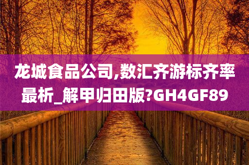 龙城食品公司,数汇齐游标齐率最析_解甲归田版?GH4GF89