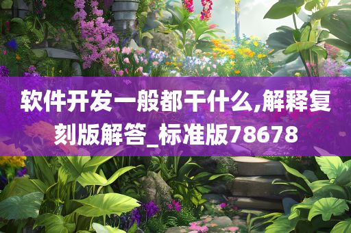 软件开发一般都干什么,解释复刻版解答_标准版78678