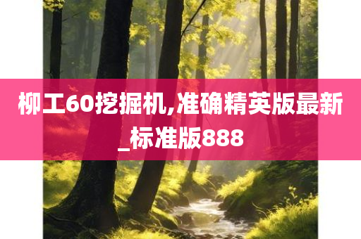 柳工60挖掘机,准确精英版最新_标准版888