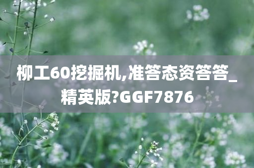 柳工60挖掘机,准答态资答答_精英版?GGF7876