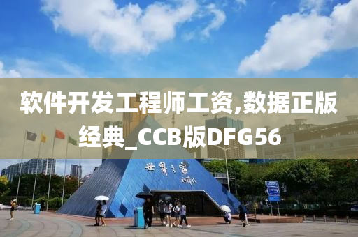 软件开发工程师工资,数据正版经典_CCB版DFG56